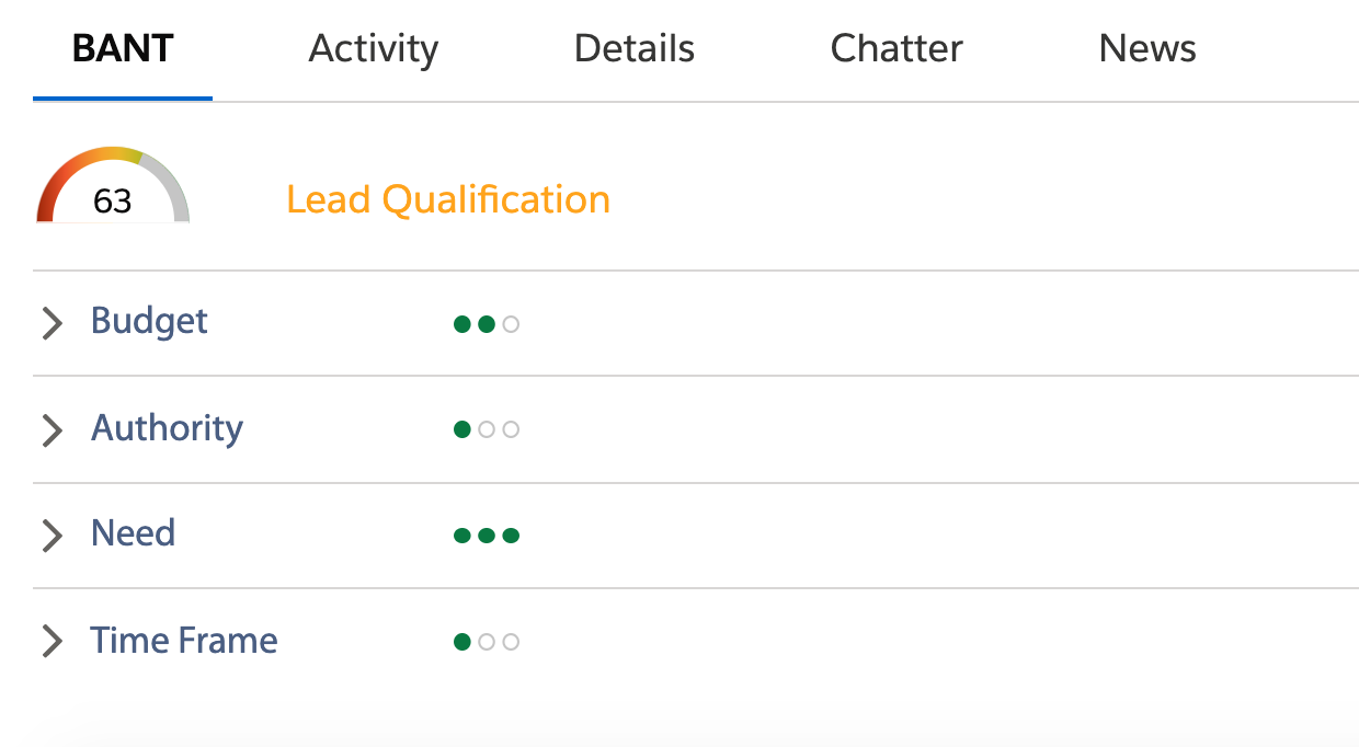 Lead Qualification Score