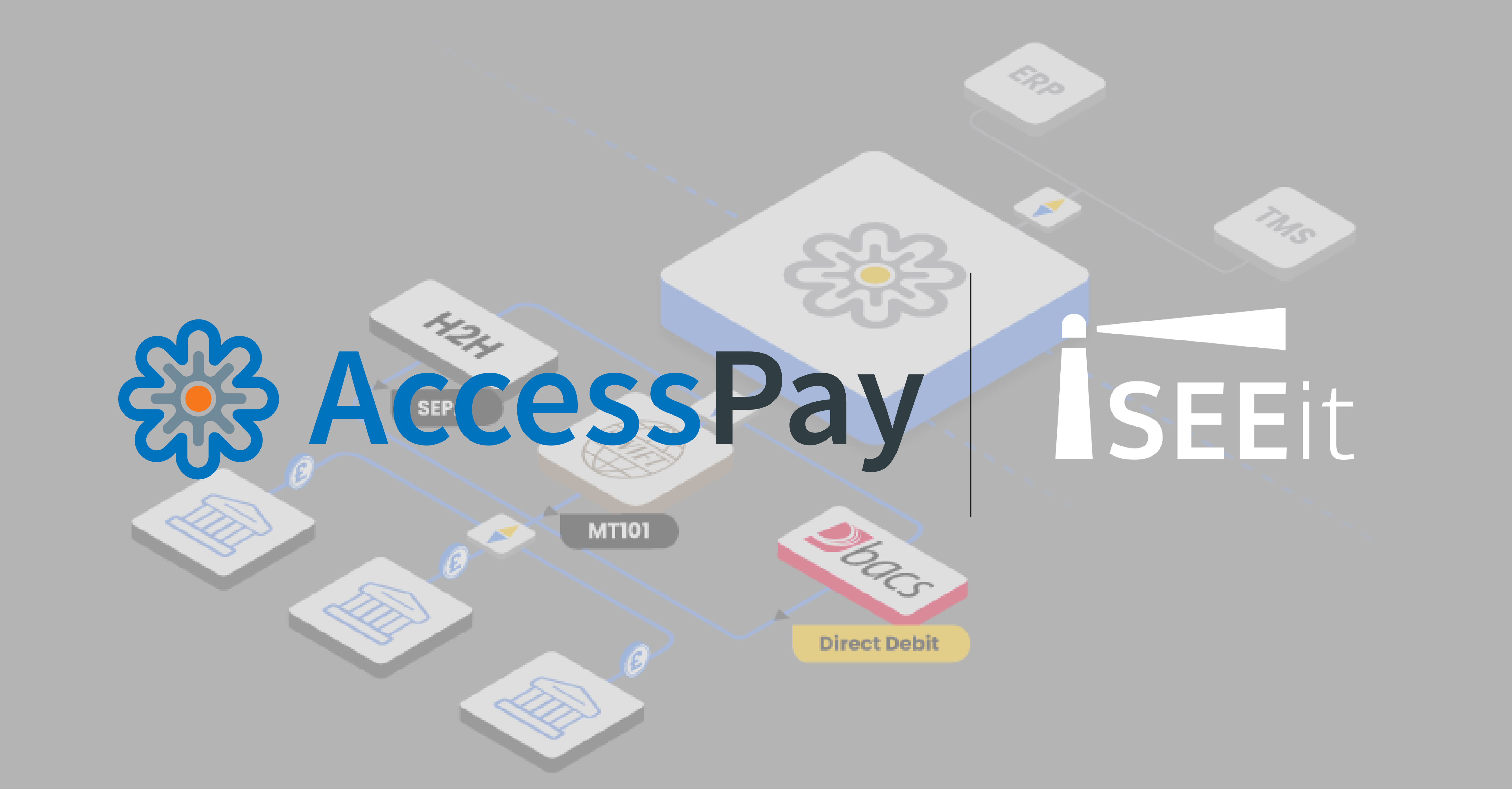 AccessPay Thumbnail
