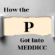 How The P Got Into MEDDICC